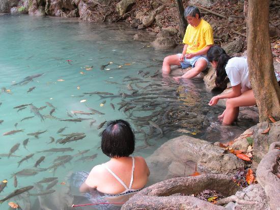 Thác Erawan bắt nguồn từ suối Monglai, dòng nước đổ xuống từ những ngọn đồi với độ cao 2000 m và chảy vào sông Khwae Yai. Thác được đặt theo tên con voi trắng ba đầu thần thoại của đạo Hindu sống trong rừng Himavarna.  Để đến được thác nước, du khách phải mất thêm 3 giờ để men theo khu đường mòn đến tầng cao nhất của thác.